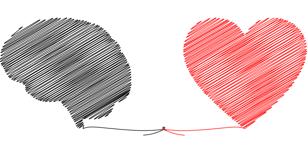 brain, heart, mind-5371476.jpg